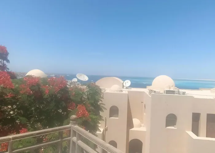 The View *